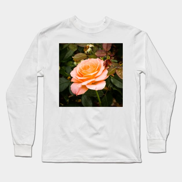 Solitary rose Long Sleeve T-Shirt by thadz